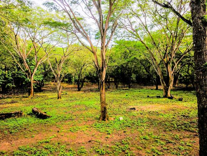 Lote de 11,832 m² con Agua y Electricidad – A Pasos de Playa Conchal y Puerto Viejo - Imagen 11
