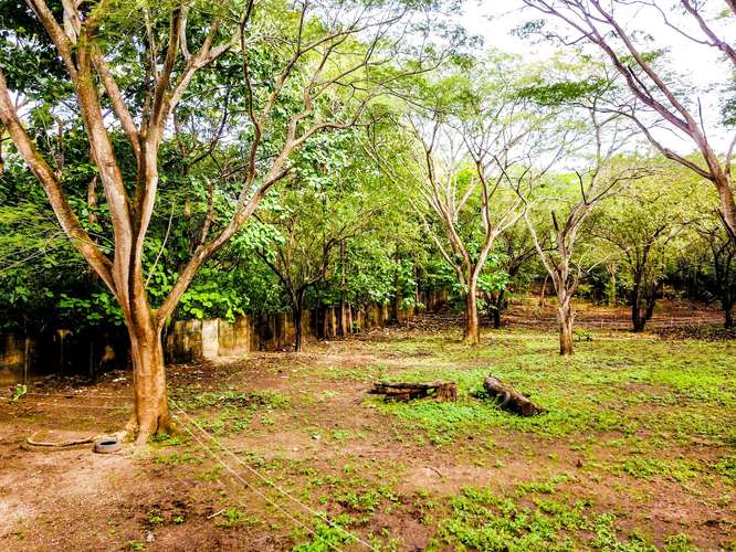 Lote de 11,832 m² con Agua y Electricidad – A Pasos de Playa Conchal y Puerto Viejo - Imagen 7