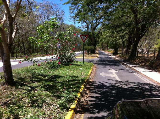  NATURALEZA Y LUJO EN PAPAGAYO: 5.75 HECTÁREAS PARA ECOTURISMO E INVERSIÓN EN PLAYA PANAMÁ - Imagen 4