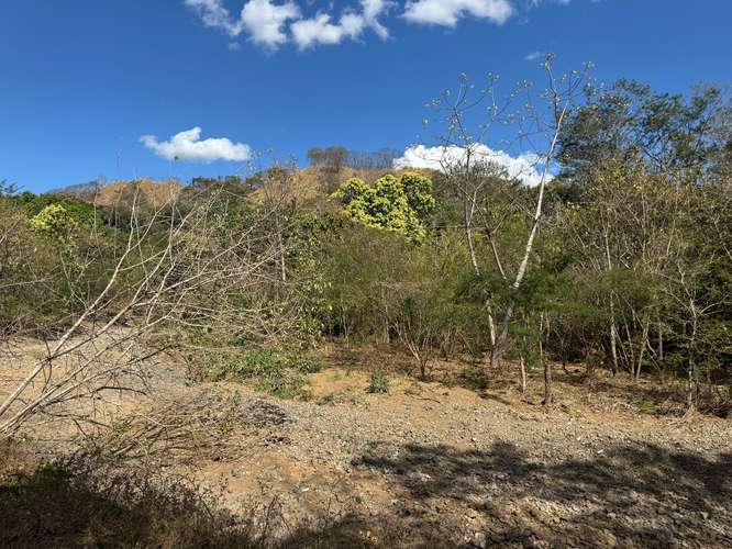  NATURALEZA Y LUJO EN PAPAGAYO: 5.75 HECTÁREAS PARA ECOTURISMO E INVERSIÓN EN PLAYA PANAMÁ - Imagen 9