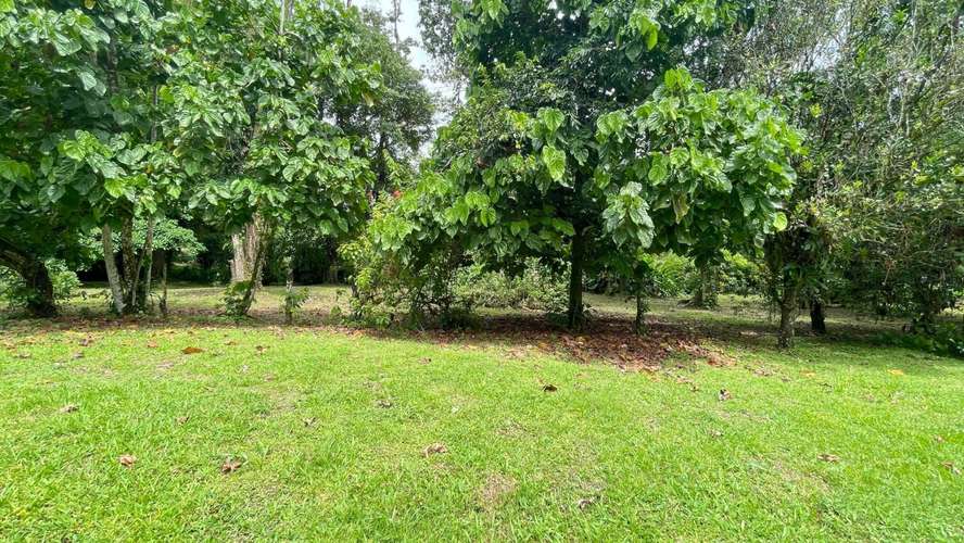 Lote de 3.149 m² en La Colonia de Guápiles: tu oasis natural con seguridad y fácil acceso - Imagen 9