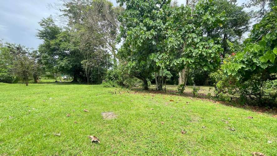 Lote de 3.149 m² en La Colonia de Guápiles: tu oasis natural con seguridad y fácil acceso - Imagen 8