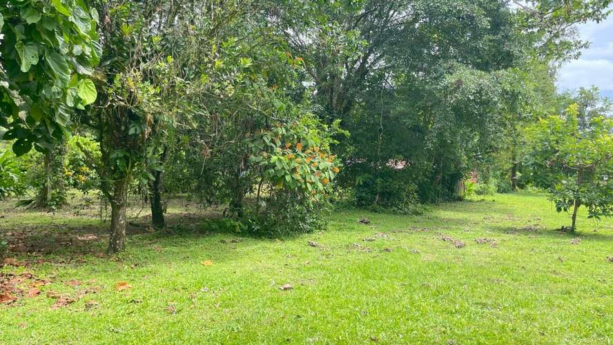 Lote de 3.149 m² en La Colonia de Guápiles: tu oasis natural con seguridad y fácil acceso - Imagen 5