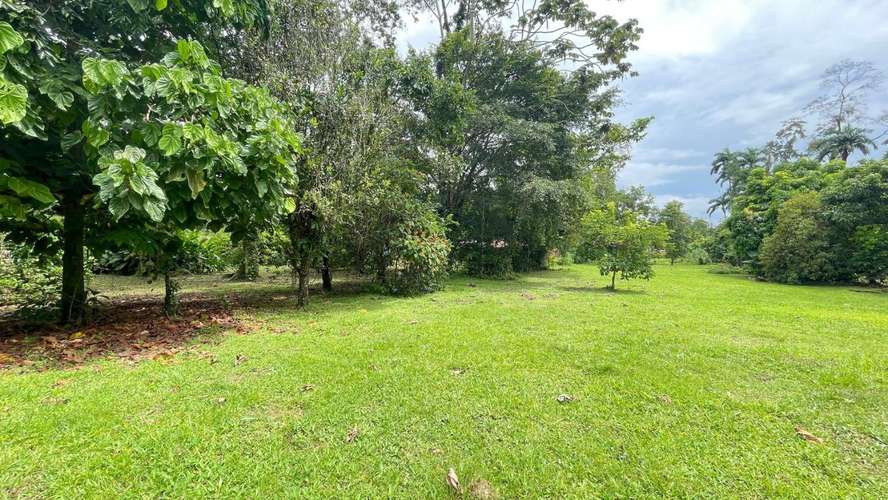 Lote de 3.149 m² en La Colonia de Guápiles: tu oasis natural con seguridad y fácil acceso - Imagen 10