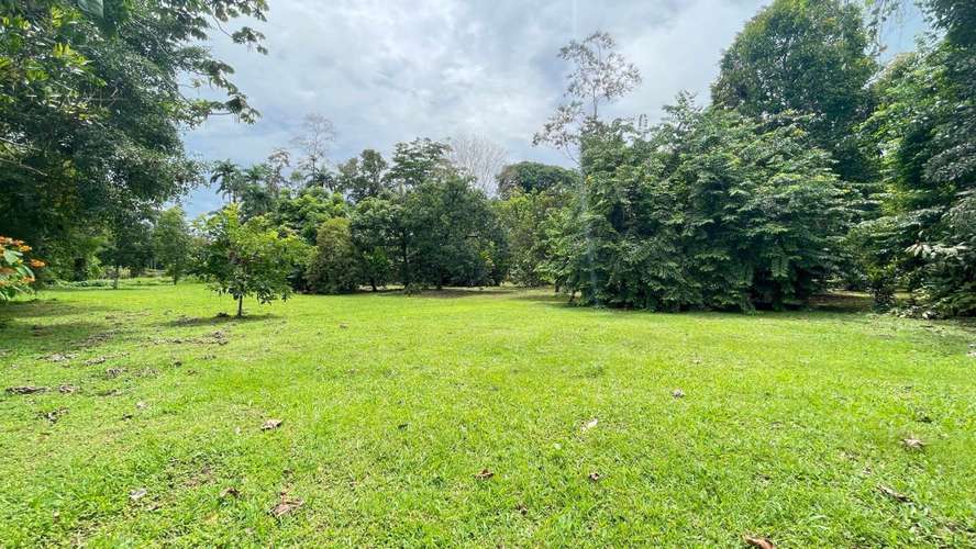 Lote de 3.149 m² en La Colonia de Guápiles: tu oasis natural con seguridad y fácil acceso - Imagen 12