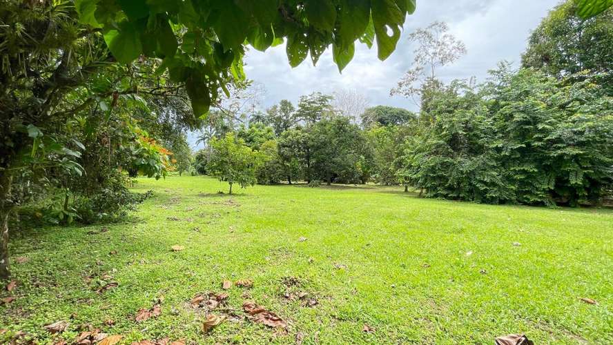 Lote de 3.149 m² en La Colonia de Guápiles: tu oasis natural con seguridad y fácil acceso - Imagen 11