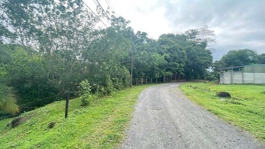 Lote de 3.149 m² en La Colonia de Guápiles: tu oasis natural con seguridad y fácil acceso - Imagen 17