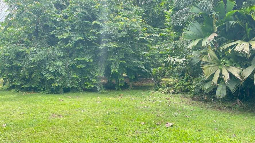 Lote de 3.149 m² en La Colonia de Guápiles: tu oasis natural con seguridad y fácil acceso - Imagen 2