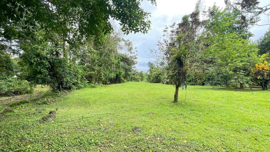 Lote de 3.149 m² en La Colonia de Guápiles: tu oasis natural con seguridad y fácil acceso - Imagen 18
