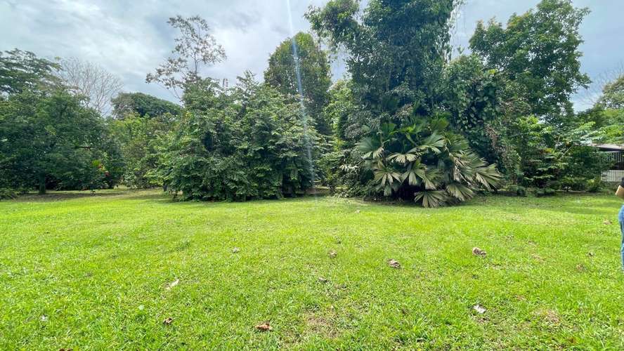 Lote de 3.149 m² en La Colonia de Guápiles: tu oasis natural con seguridad y fácil acceso - Imagen 13