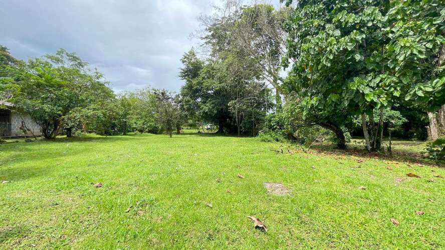 Lote de 3.149 m² en La Colonia de Guápiles: tu oasis natural con seguridad y fácil acceso - Imagen 7