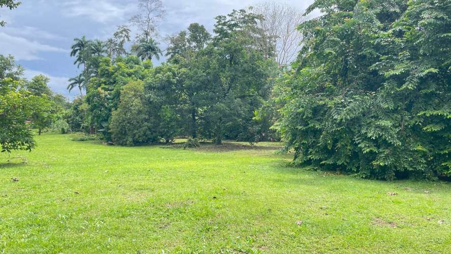 Lote de 3.149 m² en La Colonia de Guápiles: tu oasis natural con seguridad y fácil acceso - Imagen 3