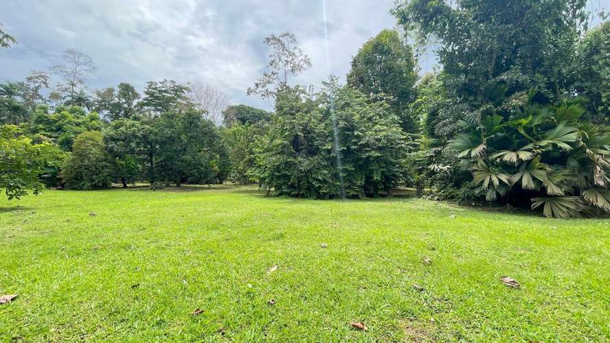 Lote de 3.149 m² en La Colonia de Guápiles: tu oasis natural con seguridad y fácil acceso - Imagen 14