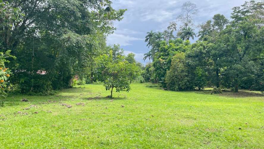 Lote de 3.149 m² en La Colonia de Guápiles: tu oasis natural con seguridad y fácil acceso - Imagen 4