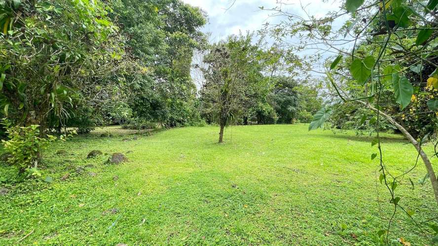 Lote de 3.149 m² en La Colonia de Guápiles: tu oasis natural con seguridad y fácil acceso - Imagen 19