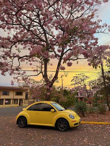 Volkswagen Beetle  - Imagen 2