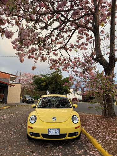 Volkswagen Beetle  - Imagen 3