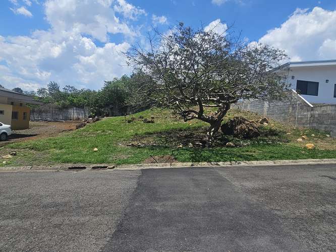 Precioso lote GARITA  - Imagen 1