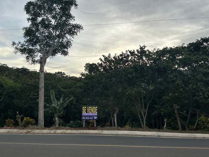 ..SE VENDE AMPLIO Y HERMOSO LOTE, PALMARES 