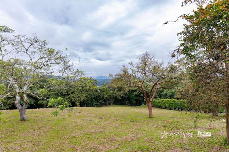 21221 -  Lote residencial,Altamira, privacidad y ubicación estratégica - Imagen 7