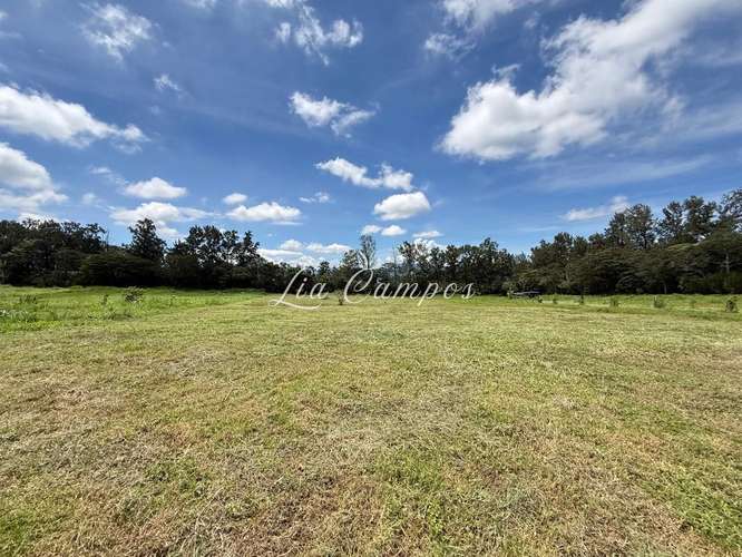 QUINTA EN VENTA EN SANTA BÁRBARA DE HEREDIA  - Imagen 5