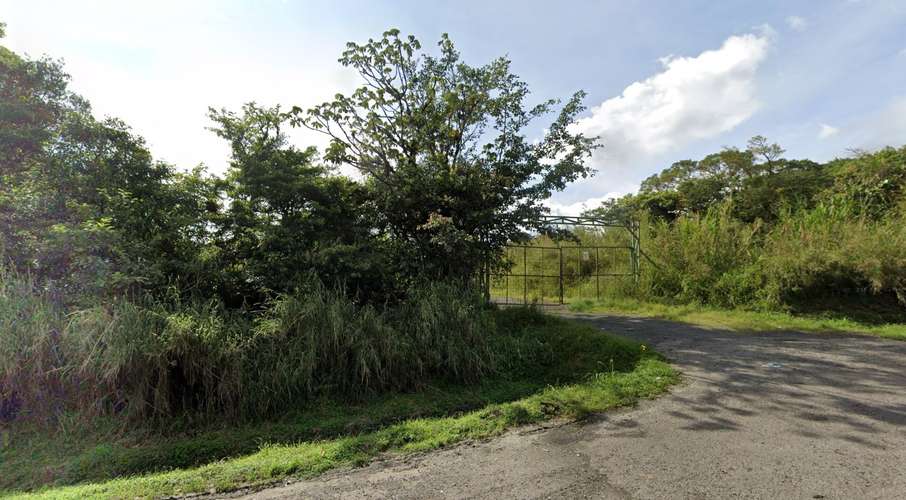 Finca de 10,28 hectáreas en venta en San Jerónimo de Moravia | Conservación e inversión ambiental SSD - Imagen 2