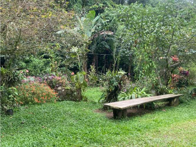 QUINTA CON 2 CABAÑAS BELLA VISTA - Imagen 17