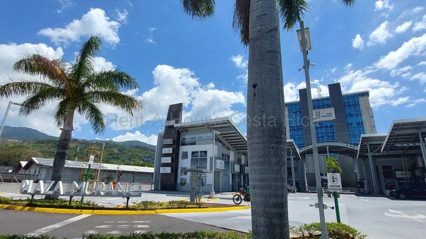 Alquiler de Oficina en Torre Comercial de Plaza Murano-Santa Ana.  NEGOCIABLE - Imagen 2