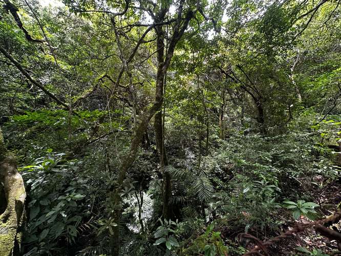  Exclusiva Propiedad en Venta | 20.367 m² Monte de La Cruz en San Rafael de Heredia-08 - Imagen 16