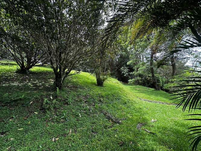  Exclusiva Propiedad en Venta | 20.367 m² Monte de La Cruz en San Rafael de Heredia-08 - Imagen 17