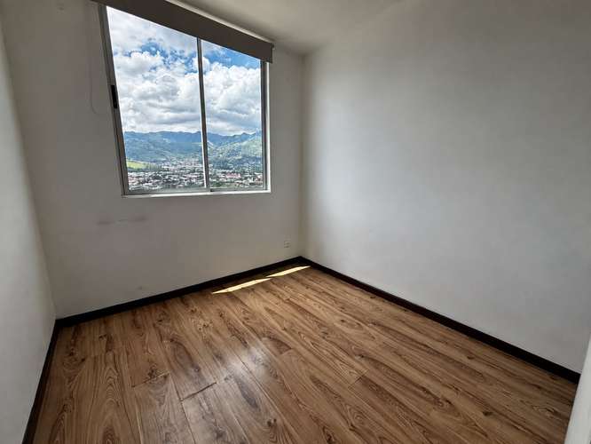 Bambu Eco Urbano - San Sebastian - Imagen 8