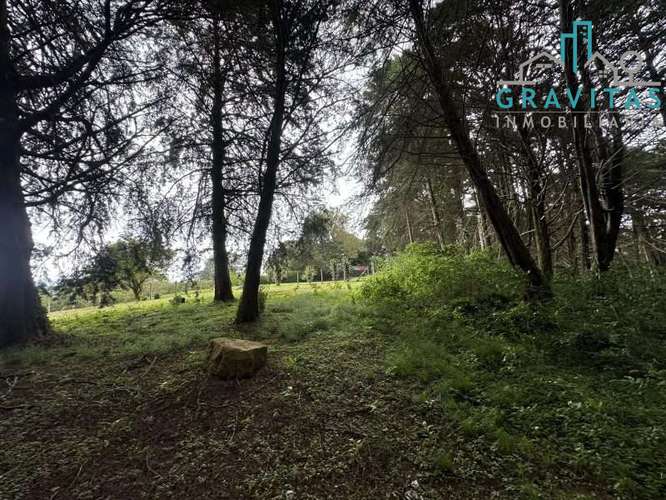 Venta de lote en Heredia San Rafael | 1 HECTÁREA | PARA VIVIENDA | F 757 - Imagen 17