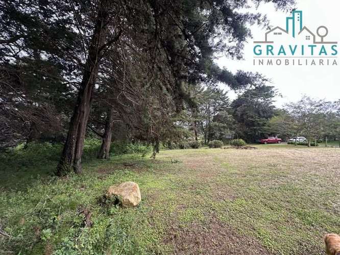 Venta de lote en Heredia San Rafael | 1 HECTÁREA | PARA VIVIENDA | F 757 - Imagen 7