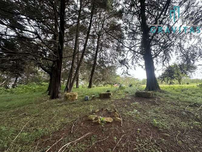 Venta de lote en Heredia San Rafael | 1 HECTÁREA | PARA VIVIENDA | F 757 - Imagen 16