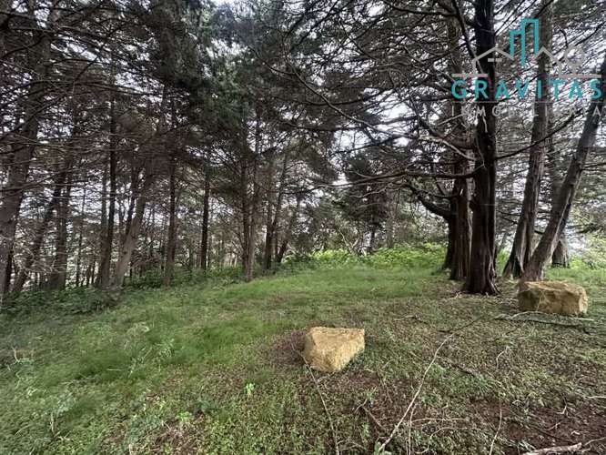 Venta de lote en Heredia San Rafael | 1 HECTÁREA | PARA VIVIENDA | F 757 - Imagen 15