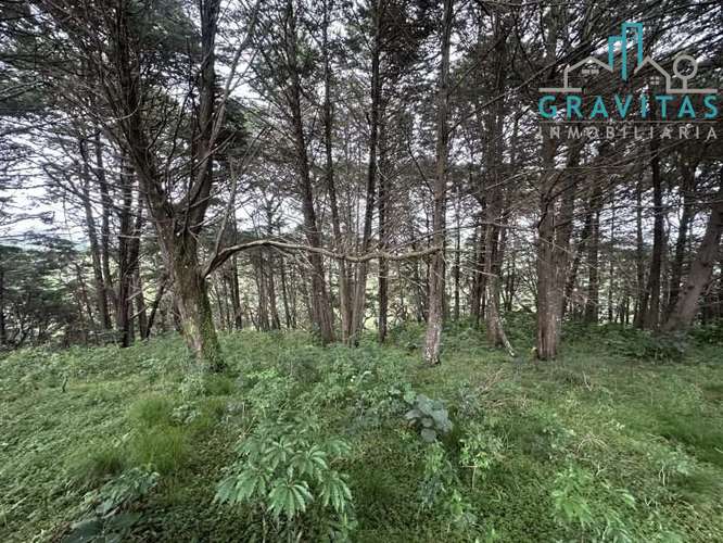 Venta de lote en Heredia San Rafael | 1 HECTÁREA | PARA VIVIENDA | F 757 - Imagen 14