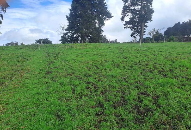 FINCA EN VENTA EN PATIO DE AGUA, CORONADO, 6174 - Imagen 2
