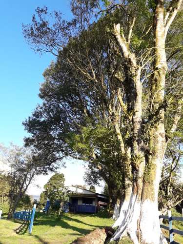 FINCA EN VENTA EN PATIO DE AGUA, CORONADO, 6174 - Imagen 12