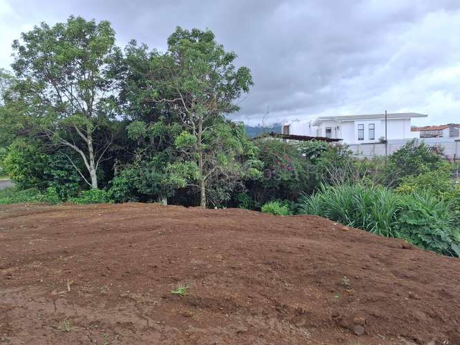 Venta de Lote en Mata de Plátano con Seguridad y Áreas Verdes #27-117 GS - Imagen 3
