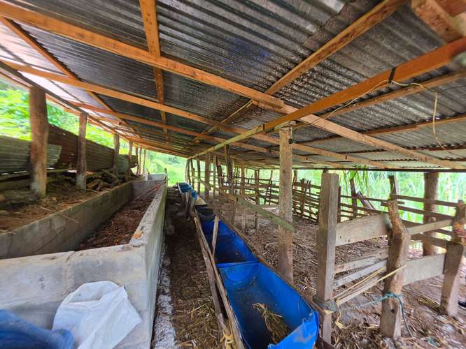 Finca de Oportunidad con Casa en Bajos de Jorco, Palmichal de Acosta, San José - Imagen 15