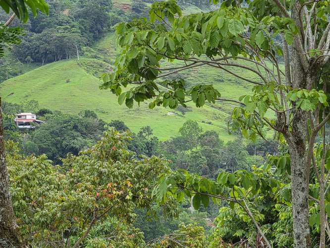 Finca de Oportunidad con Casa en Bajos de Jorco, Palmichal de Acosta, San José - Imagen 17
