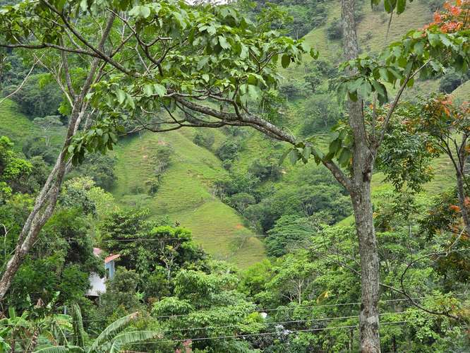 Finca de Oportunidad con Casa en Bajos de Jorco, Palmichal de Acosta, San José - Imagen 13
