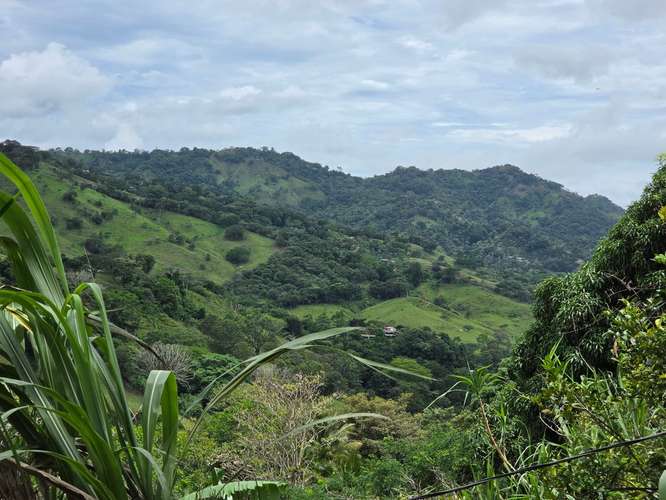 Finca de Oportunidad con Casa en Bajos de Jorco, Palmichal de Acosta, San José - Imagen 1