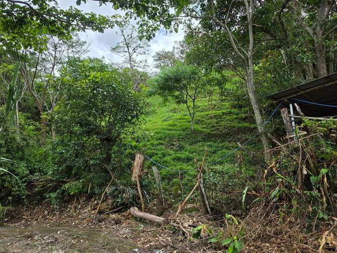 Finca de Oportunidad con Casa en Bajos de Jorco, Palmichal de Acosta, San José - Imagen 18