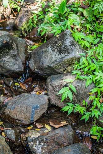 Se vende terreno para inversión de 300 ha en Cariari, Guápiles (FAU) - Imagen 8