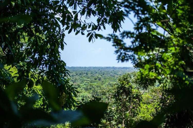 Se vende terreno para inversión de 300 ha en Cariari, Guápiles (FAU) - Imagen 4