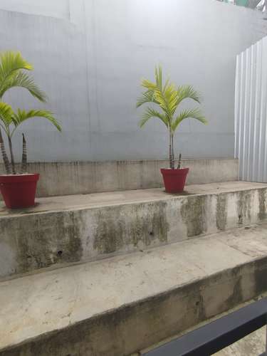  ¡ATENCIÓN COMUNIDAD UCIMED Y PROFESIONALES EN SABANA OESTE!  - Imagen 5