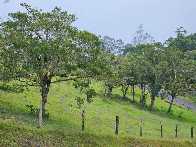 Espectacular lote en Zurquí Hills, San Isidro de Heredia - Imagen 14