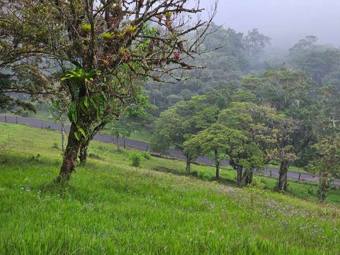 Espectacular lote en Zurquí Hills, San Isidro de Heredia - Imagen 8
