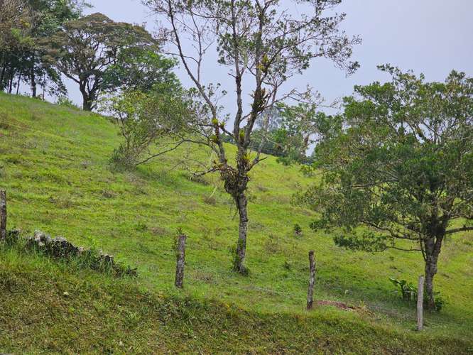 Espectacular lote en Zurquí Hills, San Isidro de Heredia - Imagen 13